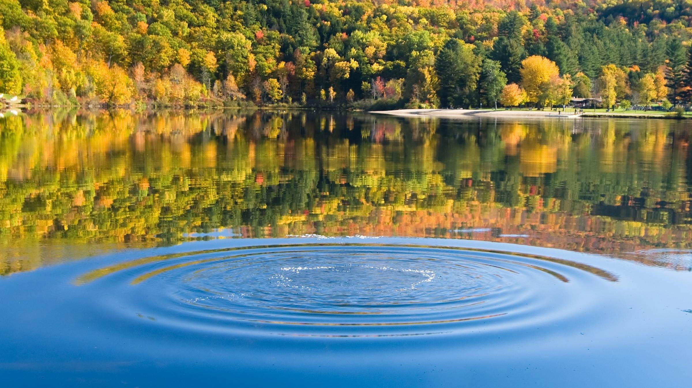 A single ripple spreads across a still lake framed by autumn foliage.