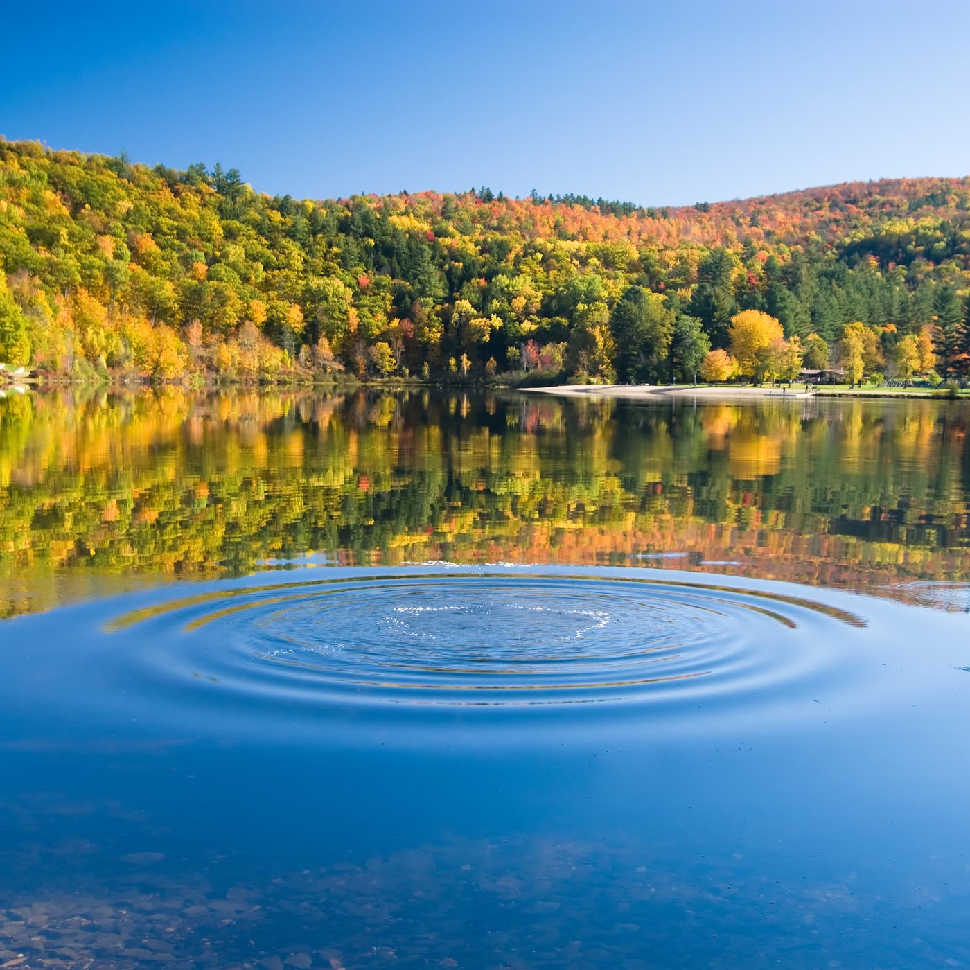 A single ripple spreads across a still lake framed by autumn foliage.