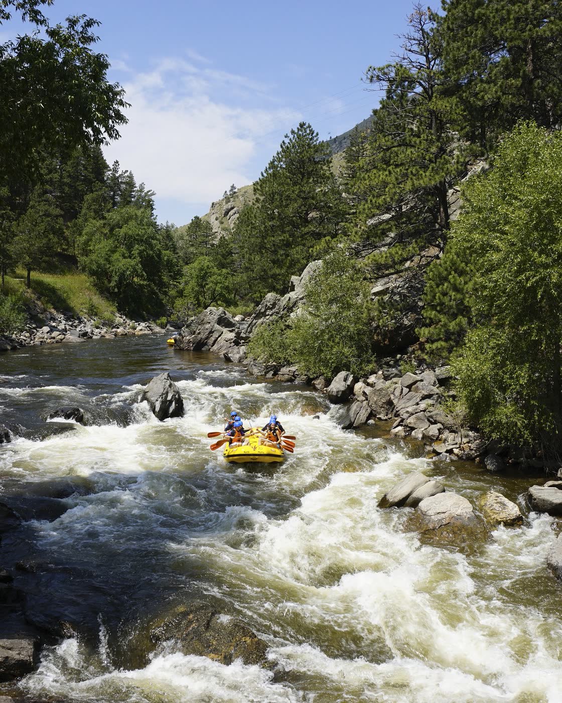 A group whitewater rafts through rapids in a forested mountain canyon.