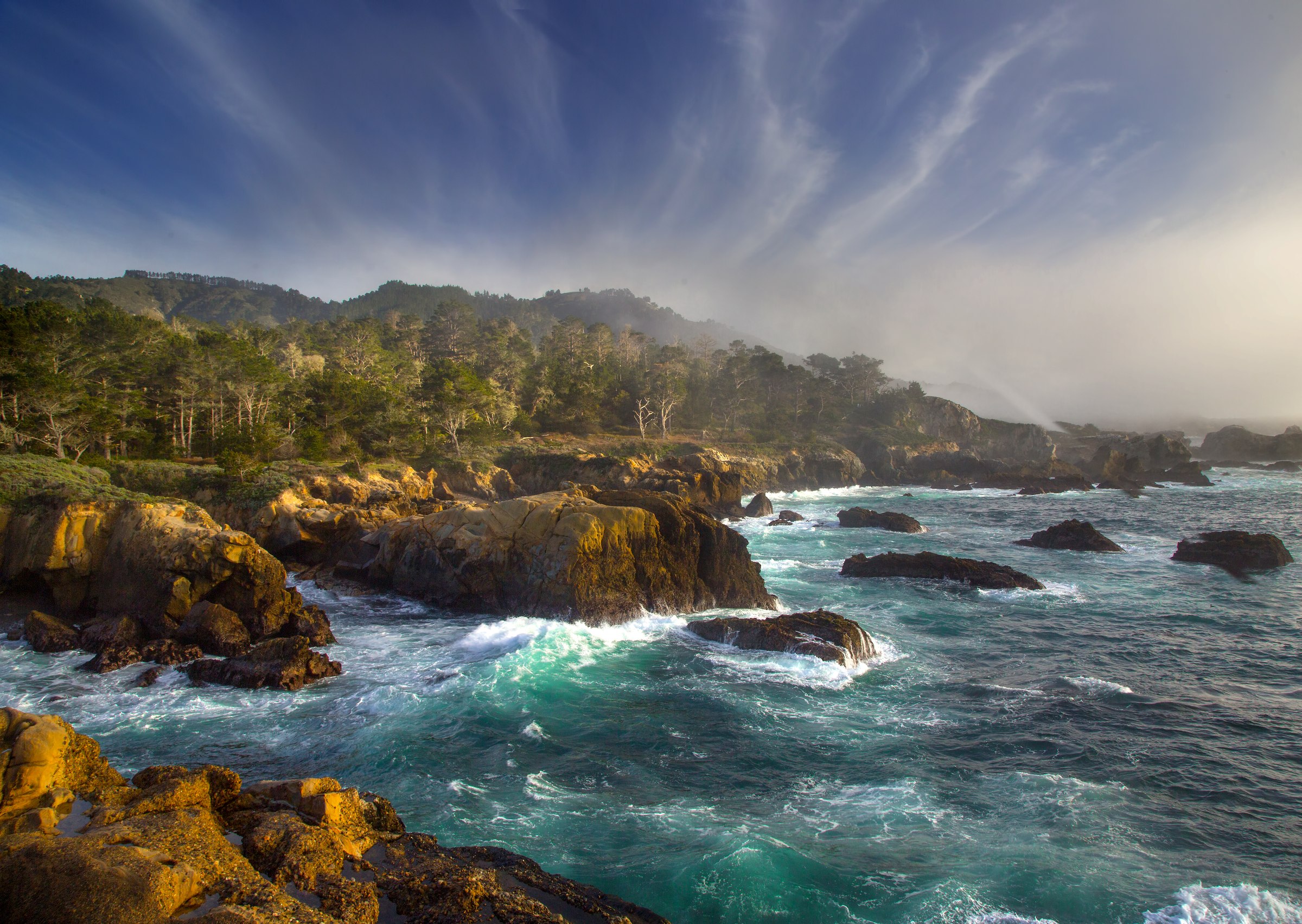 A rugged, misty Pacific coastline with pine trees and turquoise water.